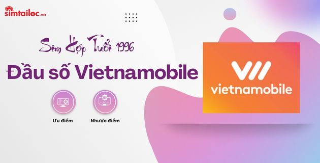 sim hợp tuổi 1996